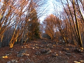 INIZIO D’ANNO NUOVO SUL GRIGNONE (mt. 2410) 1 gennaio 2012 - FOTOGALLERY